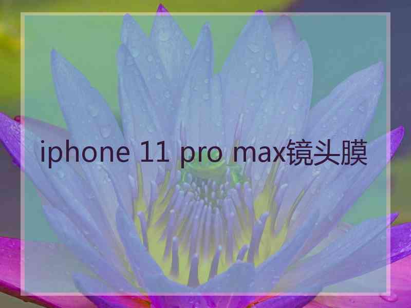 iphone 11 pro max镜头膜