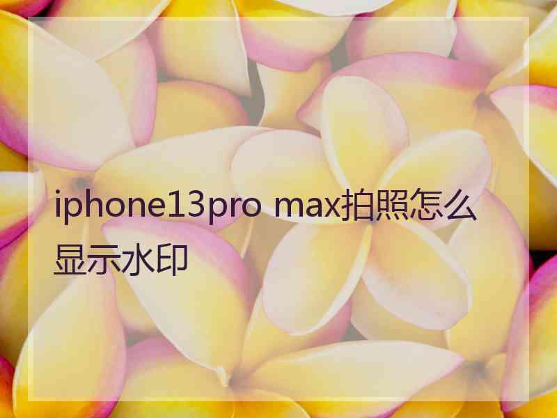 iphone13pro max拍照怎么显示水印