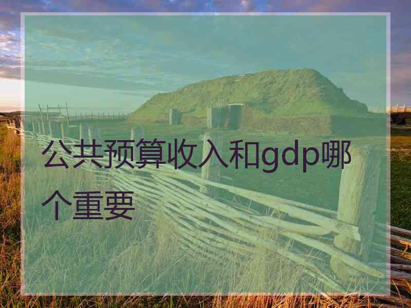 公共预算收入和gdp哪个重要