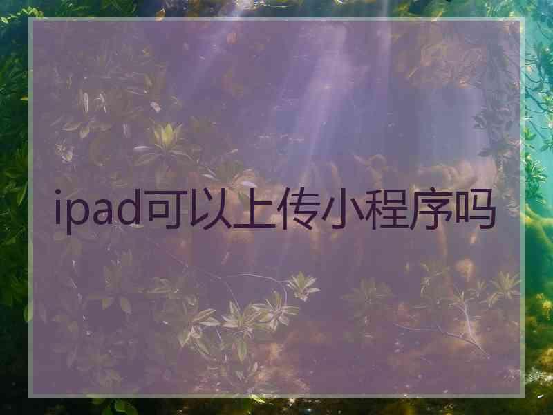 ipad可以上传小程序吗