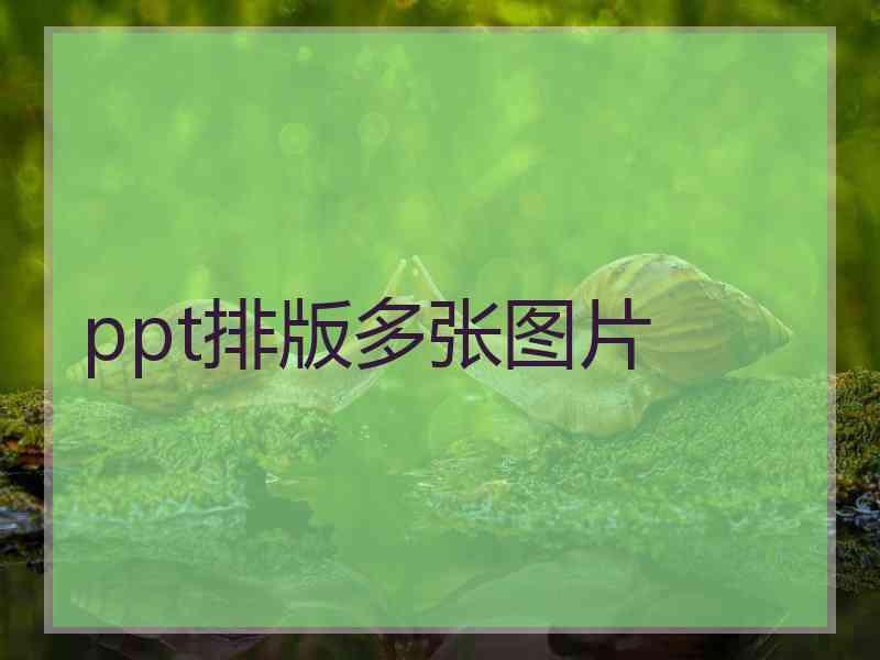 ppt排版多张图片