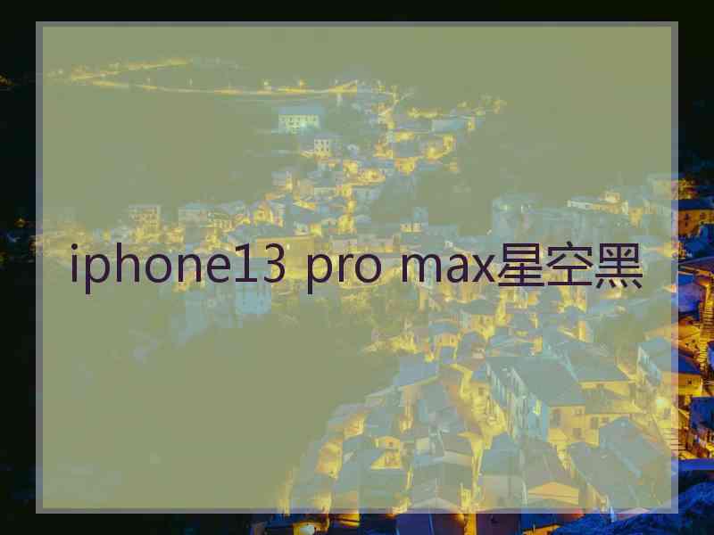 iphone13 pro max星空黑