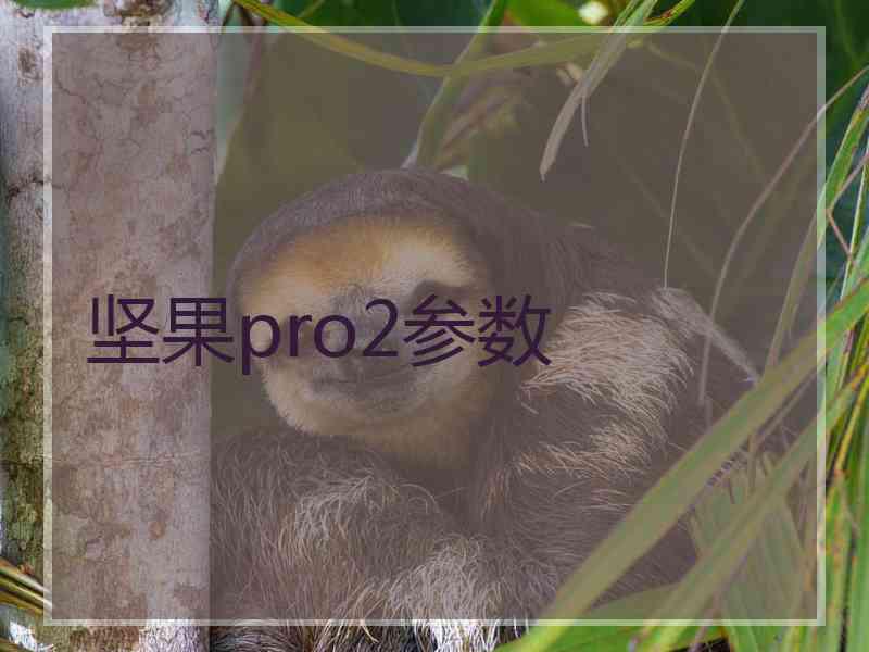 坚果pro2参数