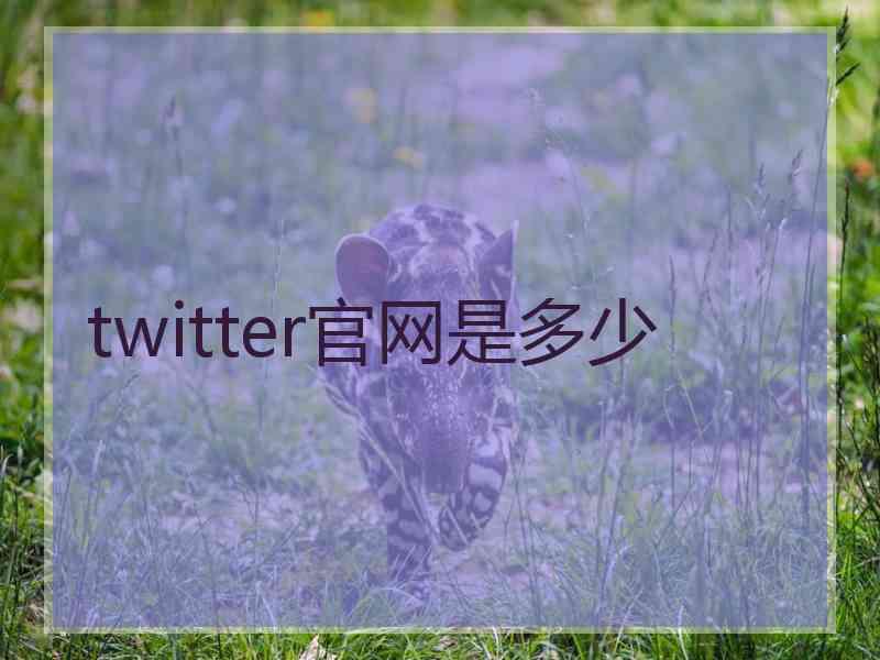 twitter官网是多少