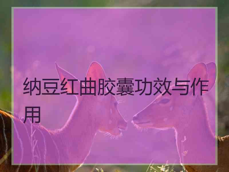 纳豆红曲胶囊功效与作用