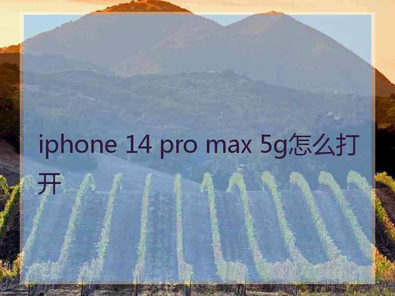 iphone 14 pro max 5g怎么打开