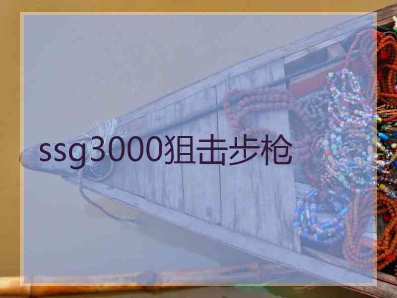 ssg3000狙击步枪