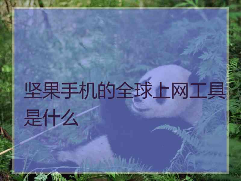 坚果手机的全球上网工具是什么