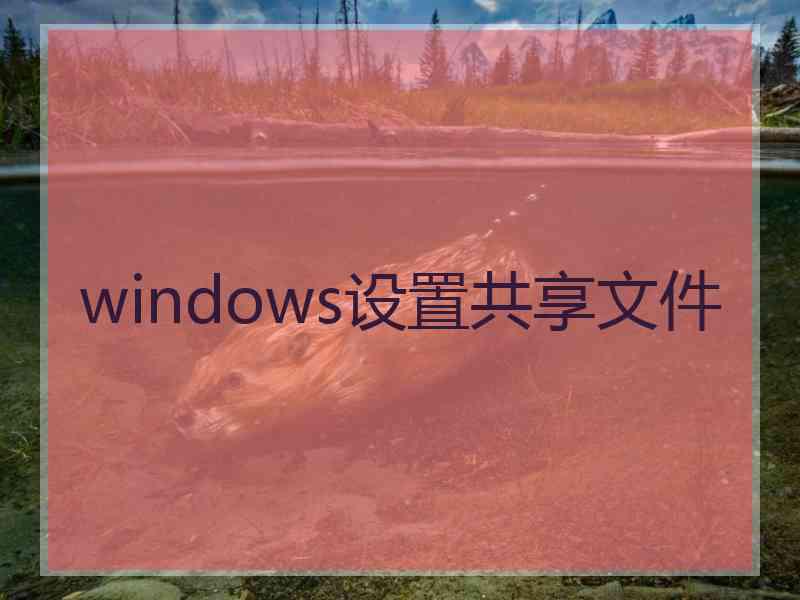 windows设置共享文件