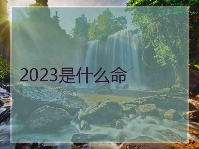 2023是什么命