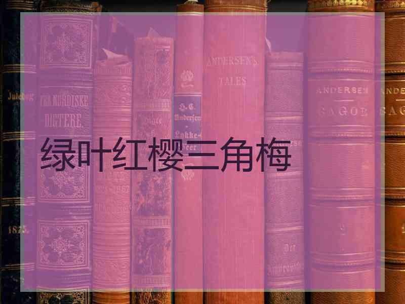 绿叶红樱三角梅