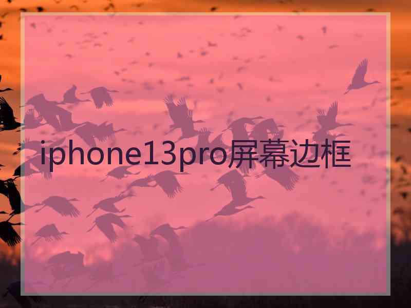 iphone13pro屏幕边框