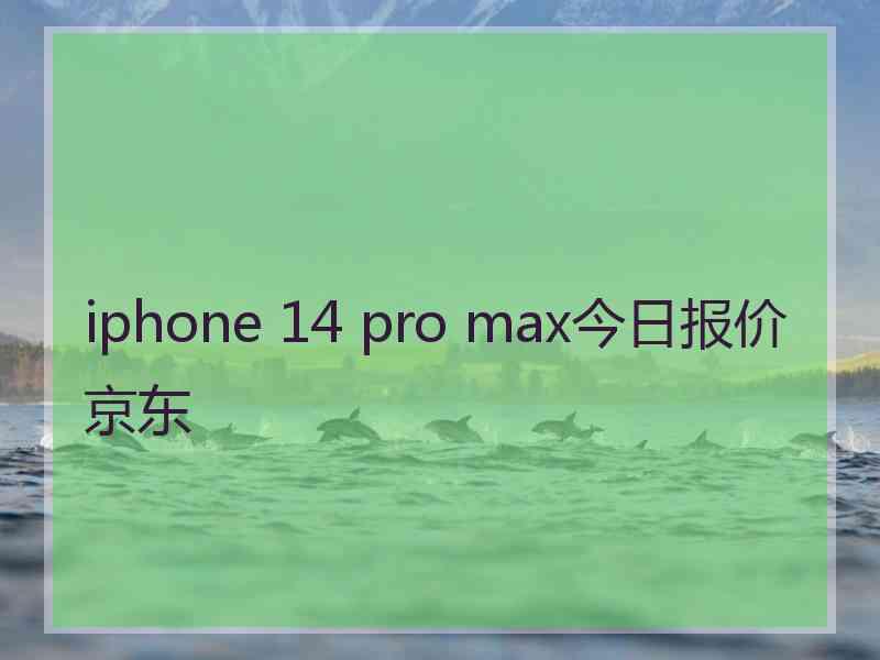 iphone 14 pro max今日报价京东