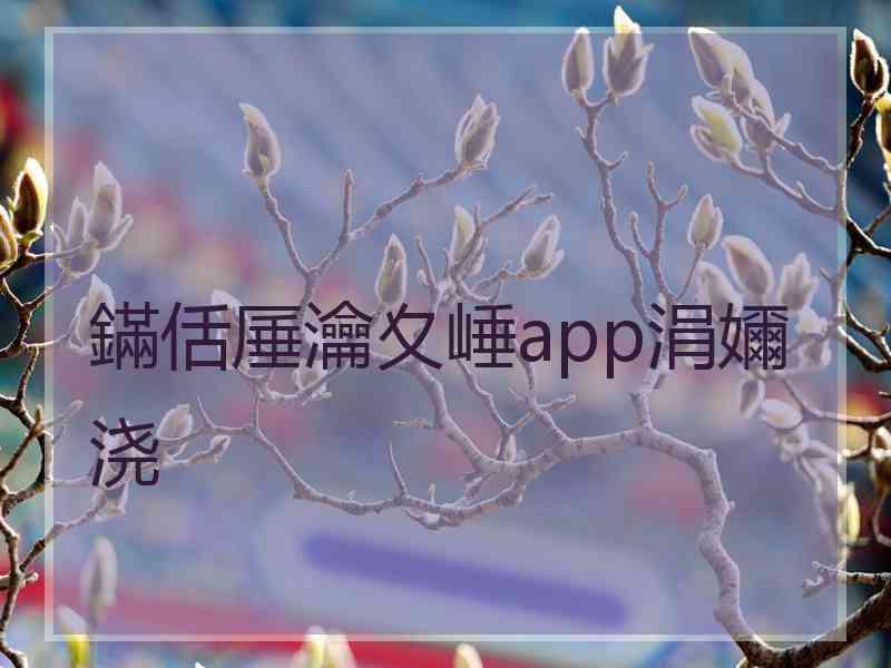 鏋佸厜瀹夊崜app涓嬭浇