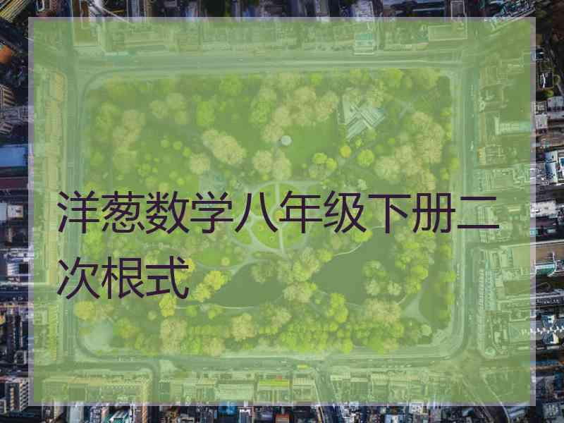 洋葱数学八年级下册二次根式