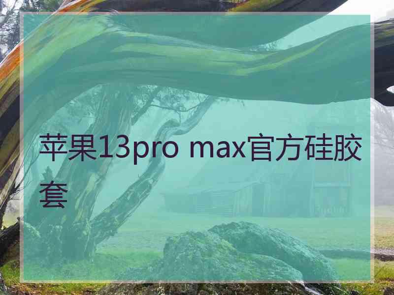 苹果13pro max官方硅胶套