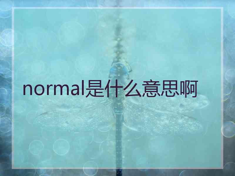 normal是什么意思啊