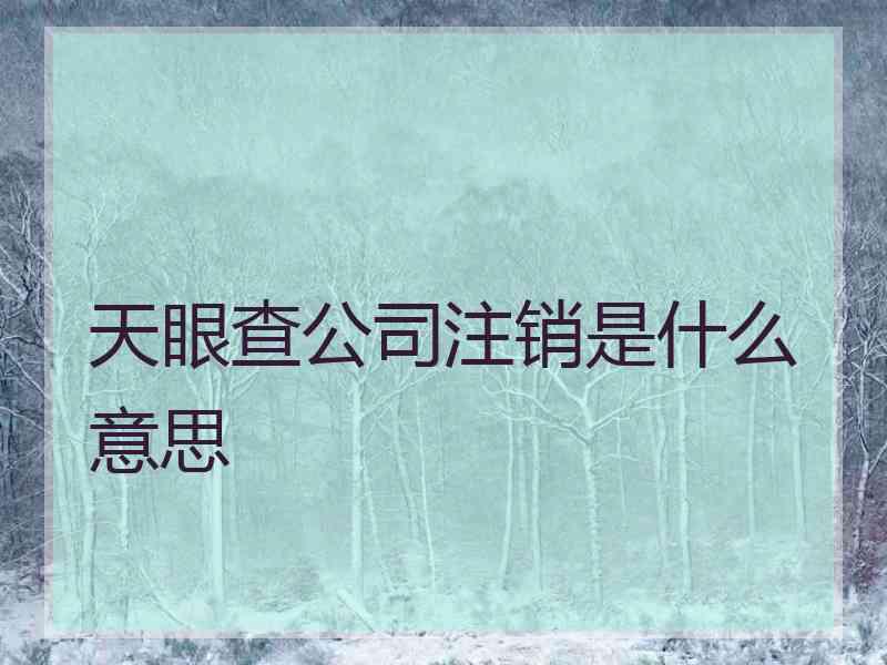 天眼查公司注销是什么意思