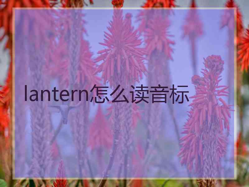 lantern怎么读音标