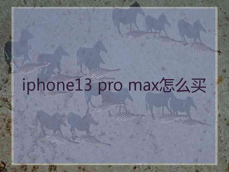 iphone13 pro max怎么买