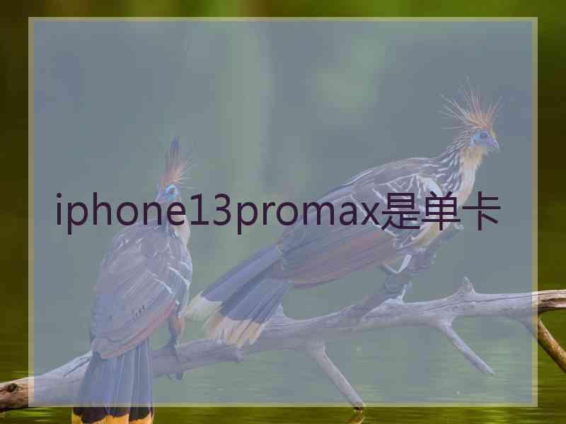 iphone13promax是单卡