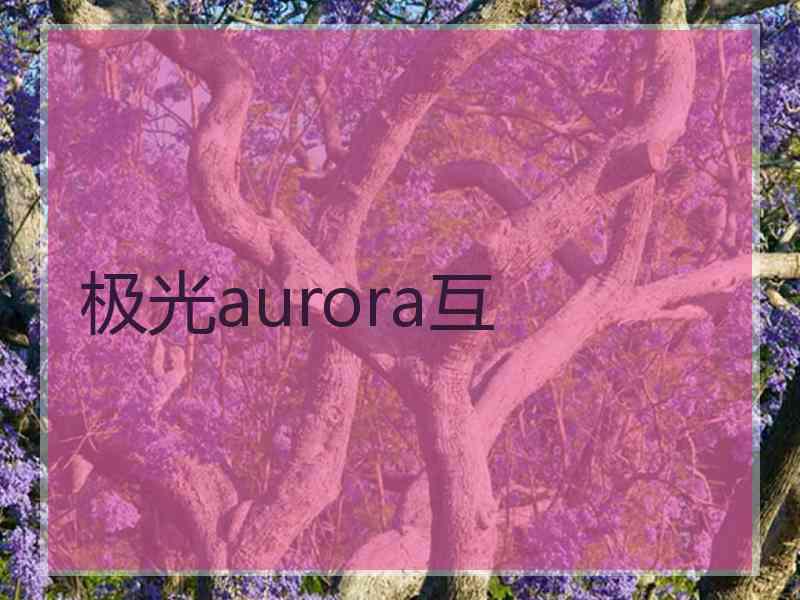 极光aurora互