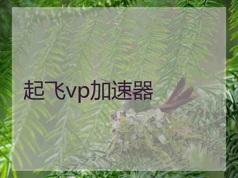 起飞vp加速器