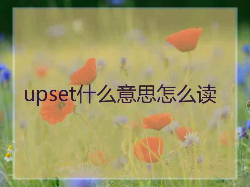 upset什么意思怎么读