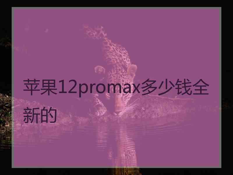 苹果12promax多少钱全新的