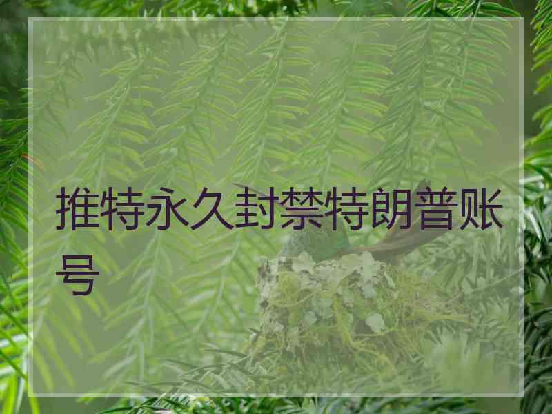 推特永久封禁特朗普账号