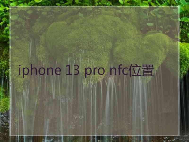 iphone 13 pro nfc位置