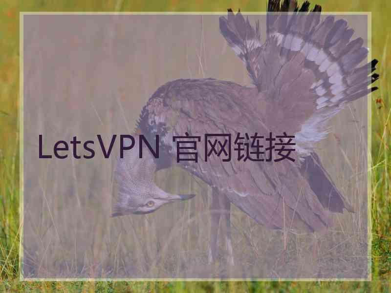 LetsVPN 官网链接