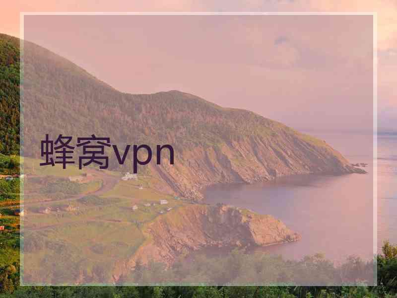 蜂窝vpn