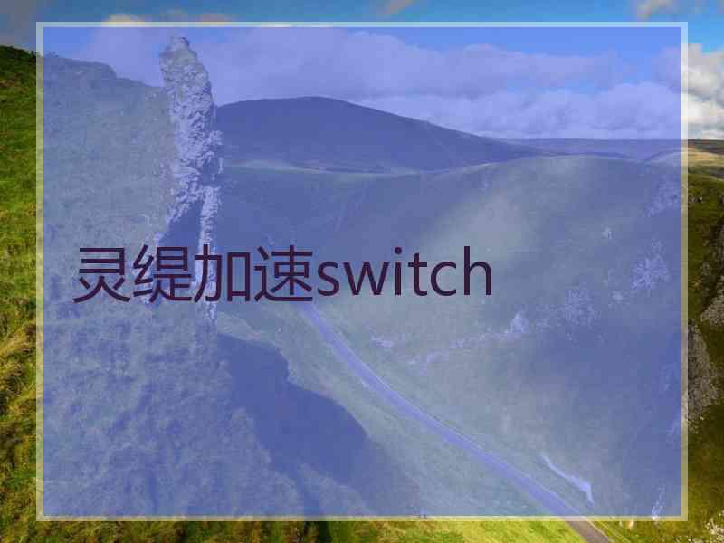 灵缇加速switch