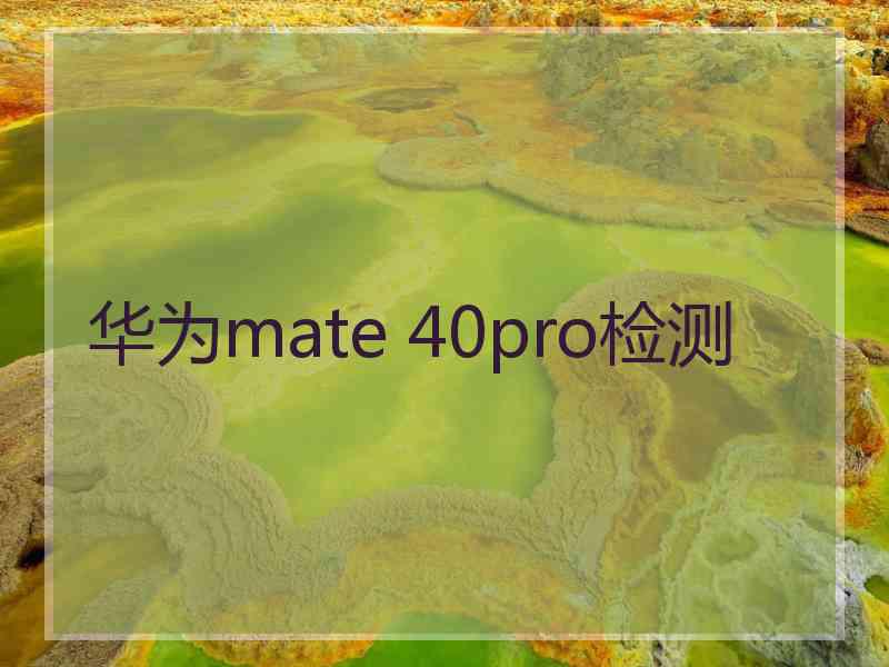 华为mate 40pro检测