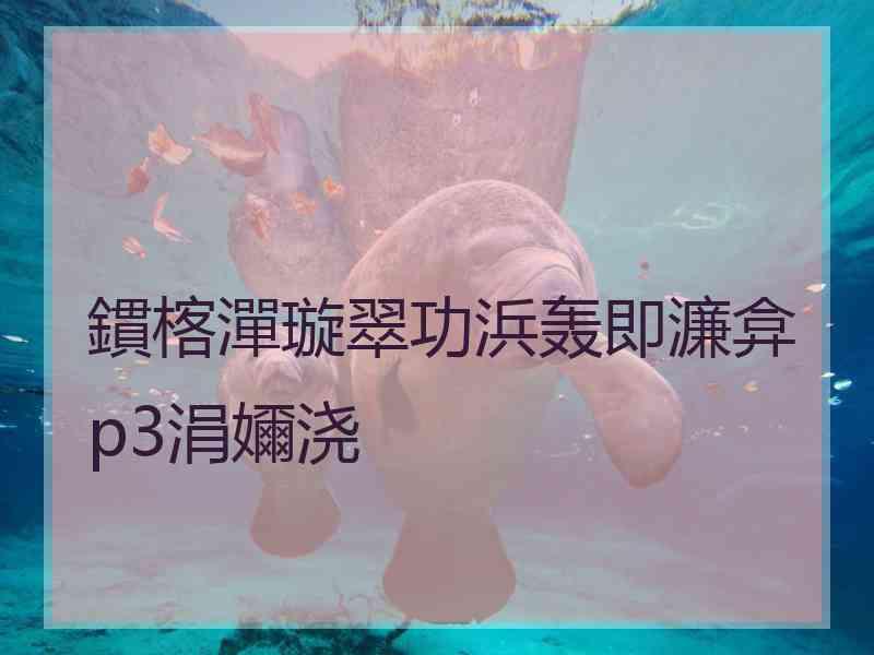 鏆楁潬璇翠功浜轰即濂弇p3涓嬭浇