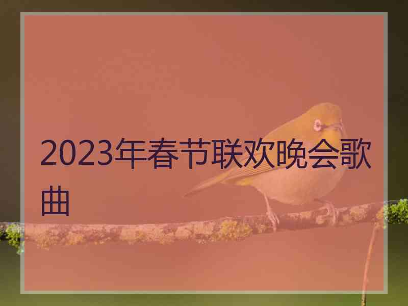 2023年春节联欢晚会歌曲