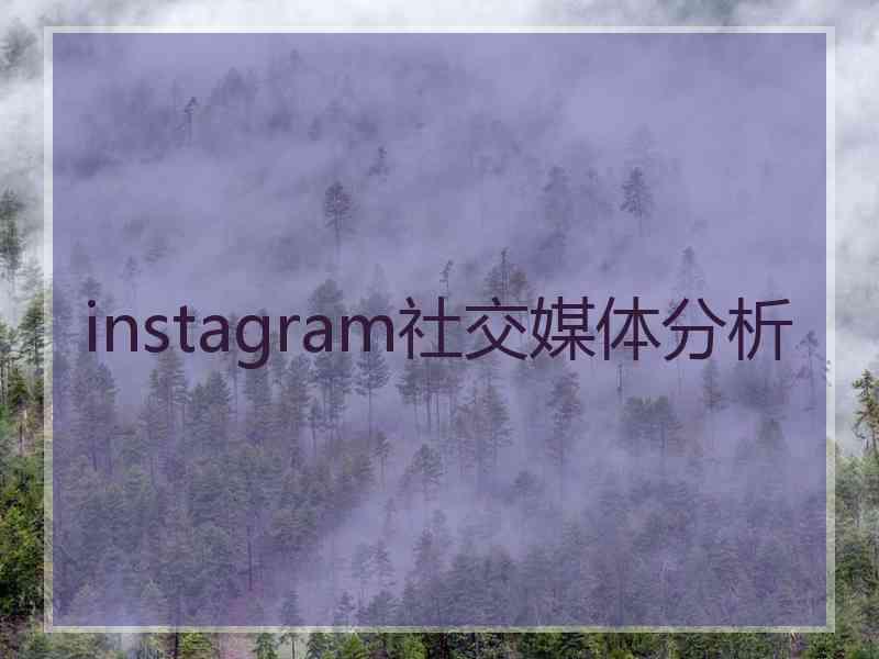 instagram社交媒体分析