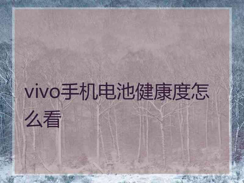 vivo手机电池健康度怎么看