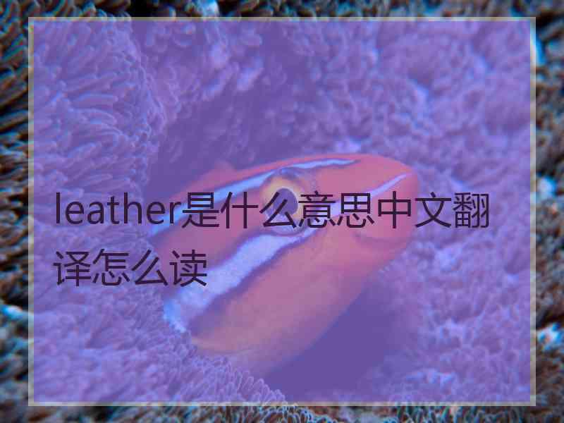 leather是什么意思中文翻译怎么读