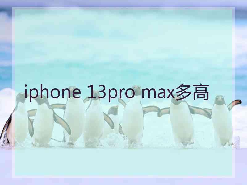 iphone 13pro max多高