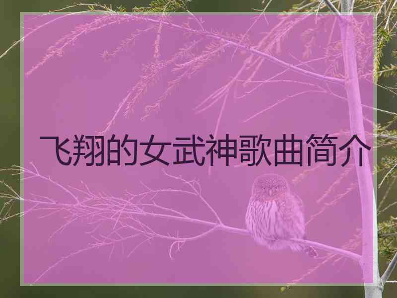 飞翔的女武神歌曲简介