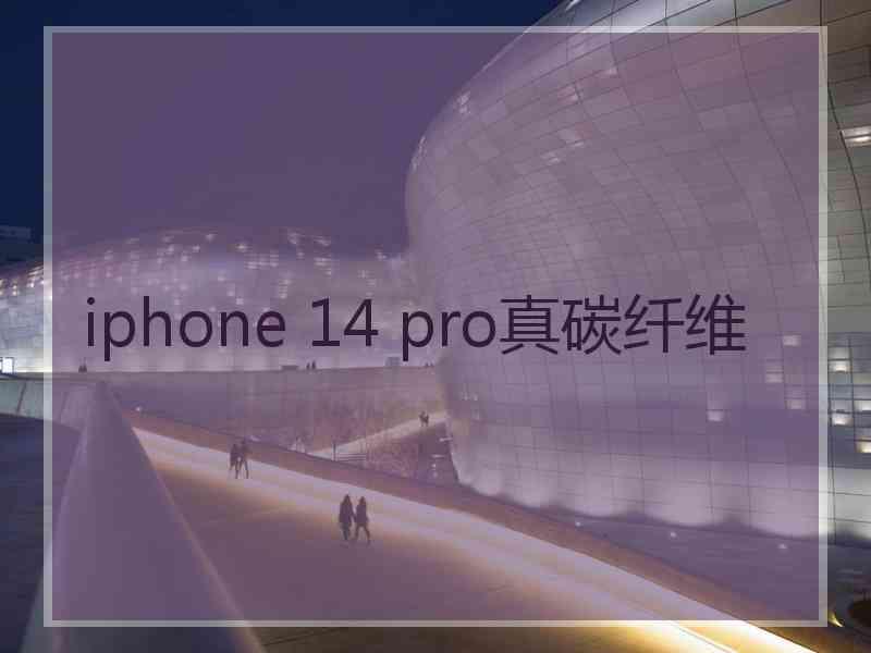 iphone 14 pro真碳纤维