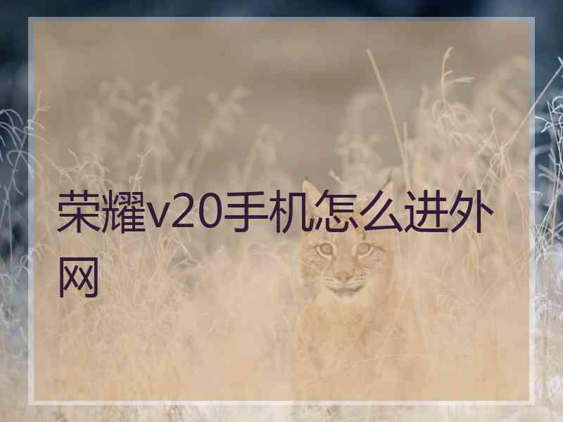 荣耀v20手机怎么进外网