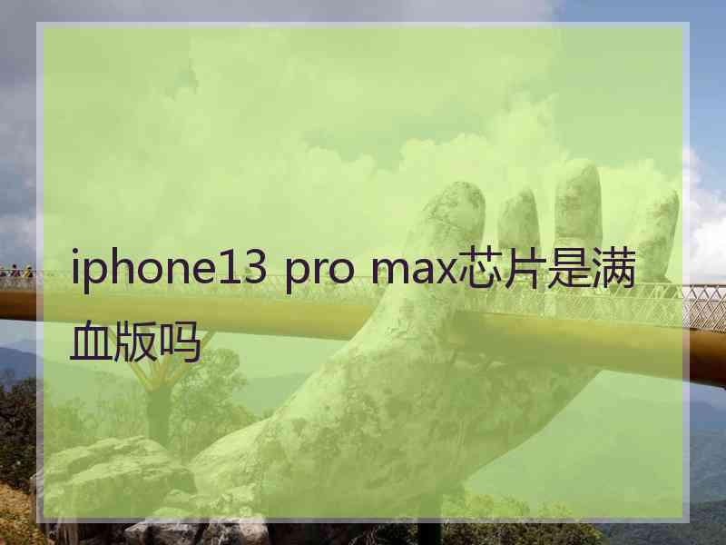 iphone13 pro max芯片是满血版吗