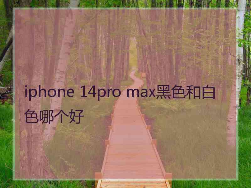 iphone 14pro max黑色和白色哪个好