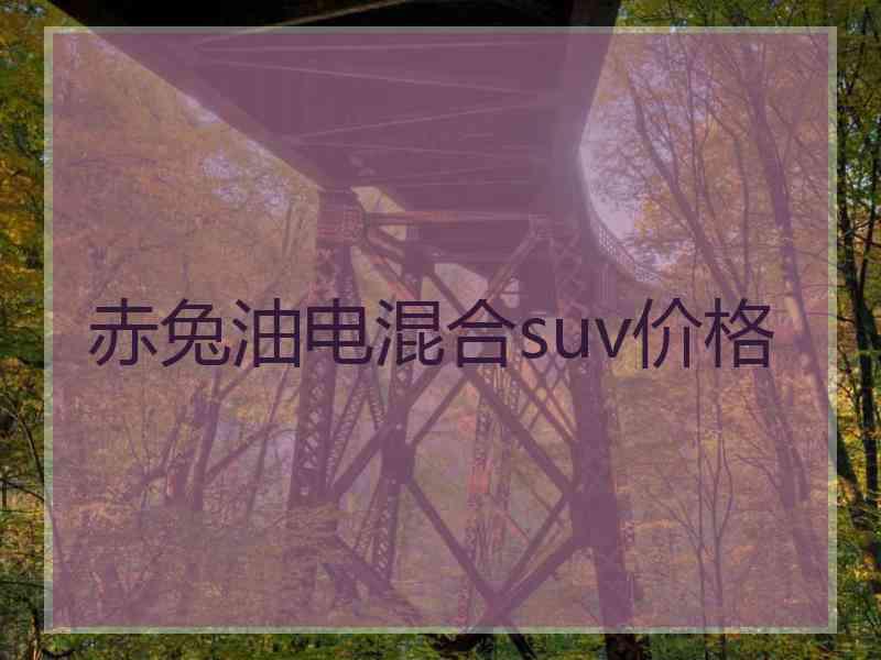 赤兔油电混合suv价格