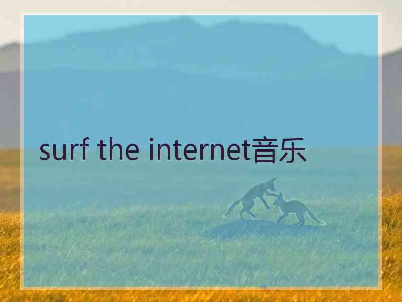 surf the internet音乐