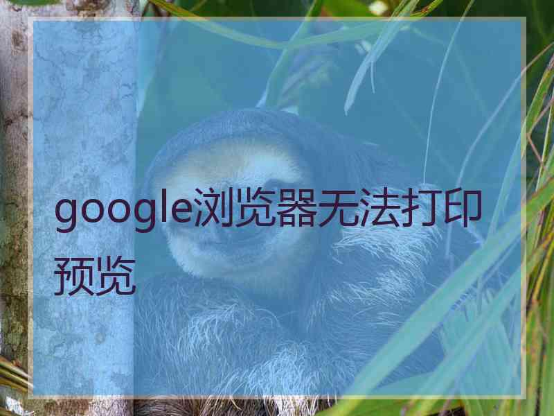 google浏览器无法打印预览