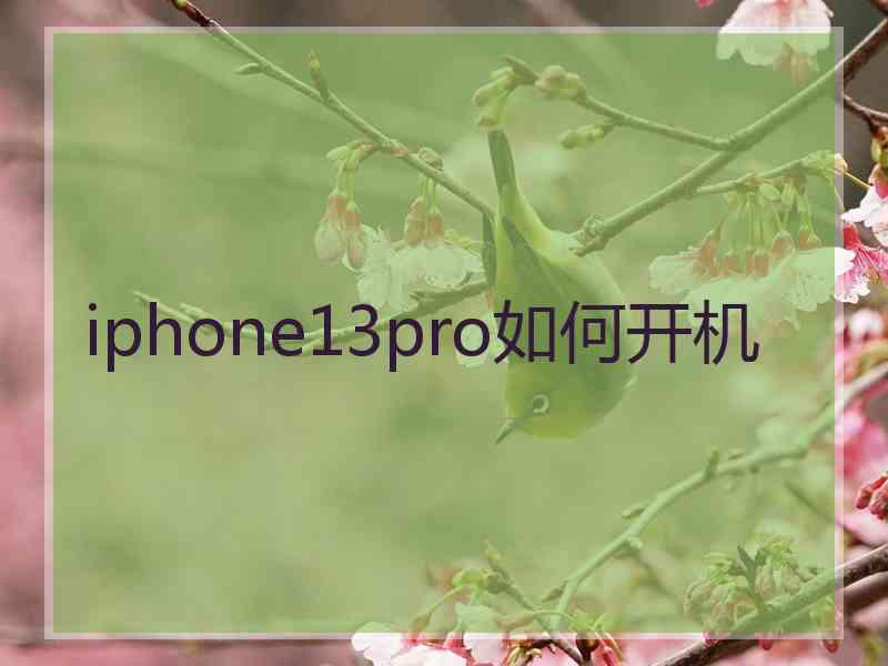 iphone13pro如何开机